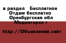  в раздел : Бесплатное » Отдам бесплатно . Оренбургская обл.,Медногорск г.